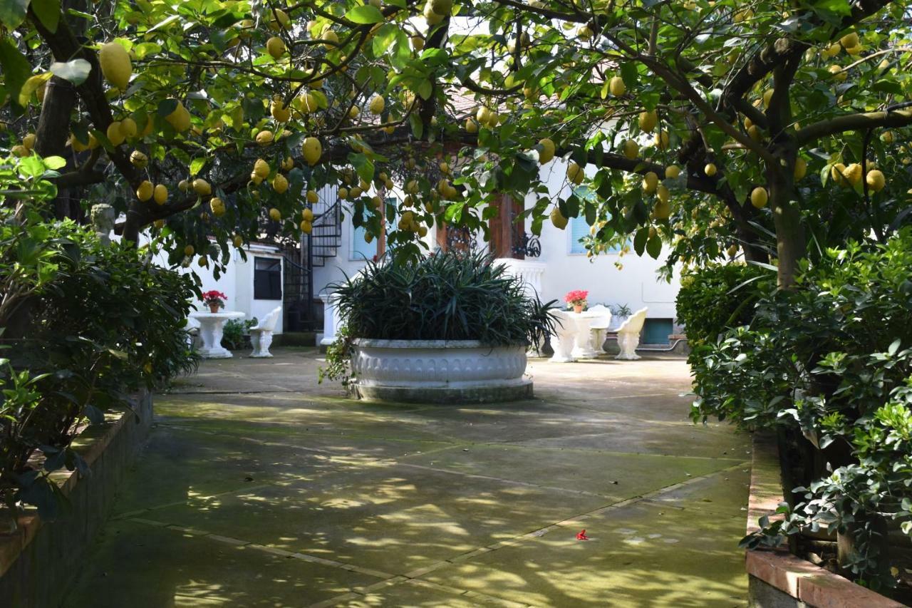 De Gregorio Apartment Massa Lubrense Exterior photo