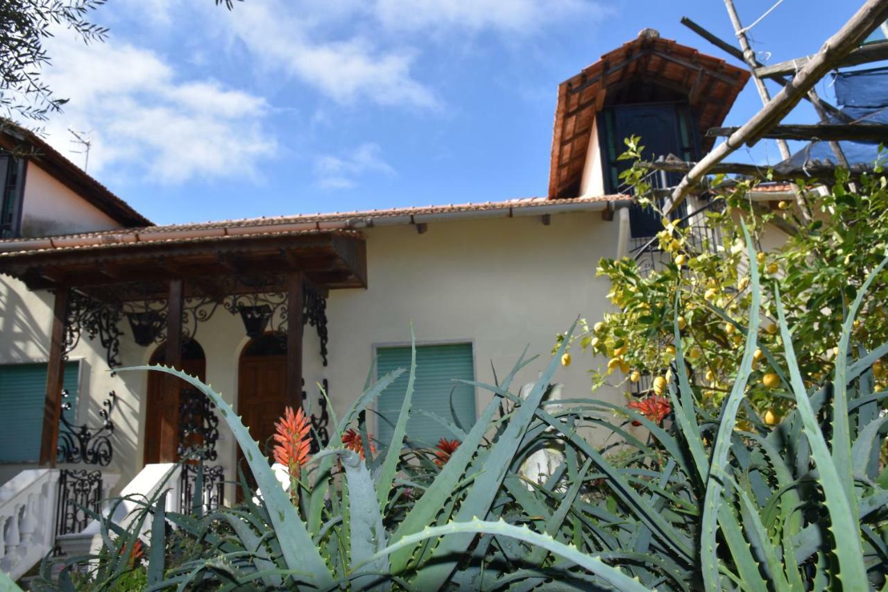 De Gregorio Apartment Massa Lubrense Exterior photo